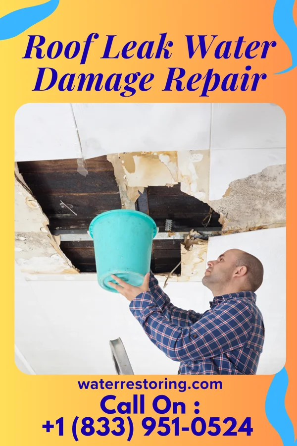 Roof Leak Water Damage Repair in Mattawa, WA